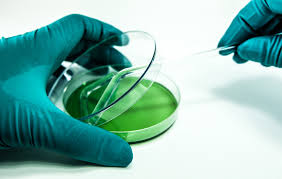 > </div>
<div class=